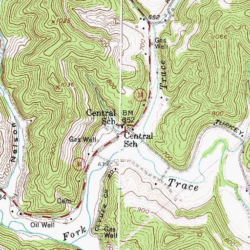 Topographic Map of Central School (historical), WV