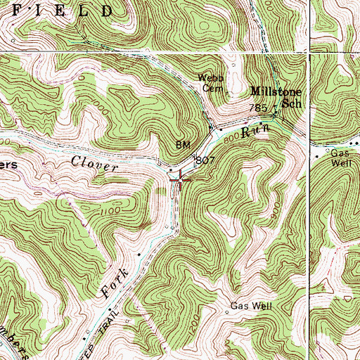 Topographic Map of Chambers Fork, WV