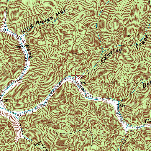 Topographic Map of Charley Trace Fork, WV