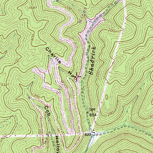 Topographic Map of Charlie Hollow, WV