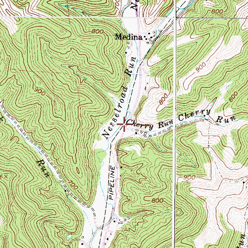 Topographic Map of Cherry Run, WV