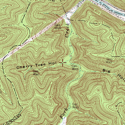 Topographic Map of Cherry Tree Hollow, WV