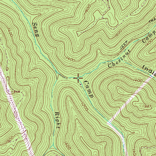 Topographic Map of Chestnut Camp Branch, WV