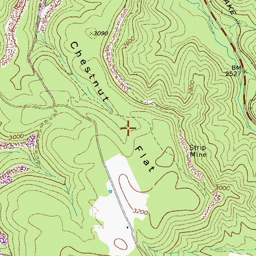 Topographic Map of Chestnut Flat, WV