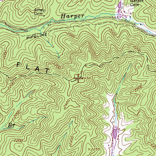 Topographic Map of Chestnut Flat Mountain, WV