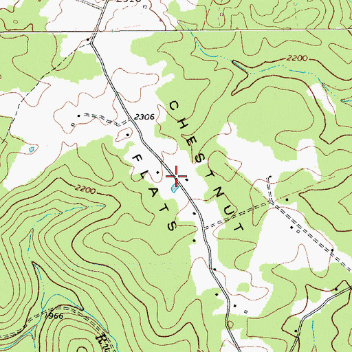 Topographic Map of Chestnut Flats, WV