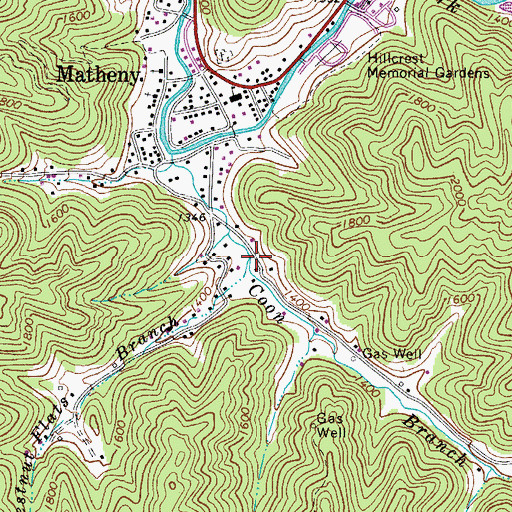Topographic Map of Chestnut Flats Branch, WV