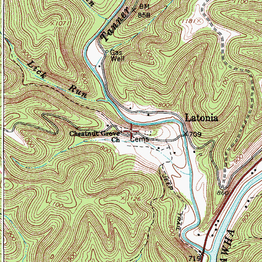 Topographic Map of Chestnut Grove Church, WV