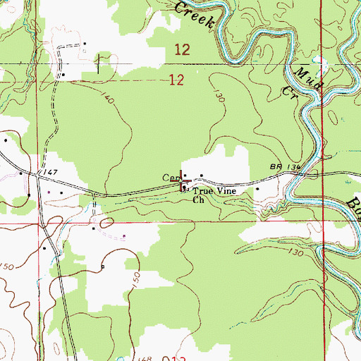 Topographic Map of True Vine Church, AL