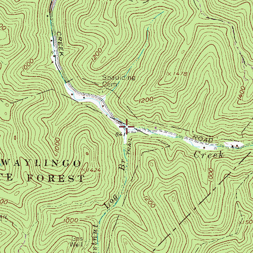 Topographic Map of Chestnut Log Branch, WV