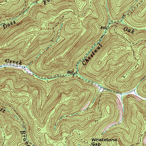 Topographic Map of Chestnut Oak Creek, WV