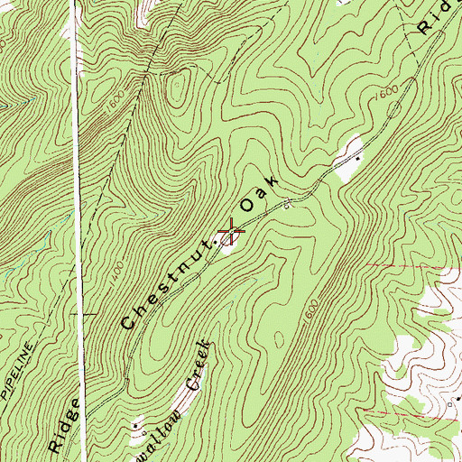 Topographic Map of Chestnut Oak Ridge, WV
