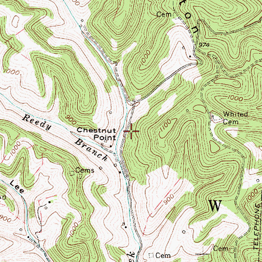 Topographic Map of Chestnut Point, WV
