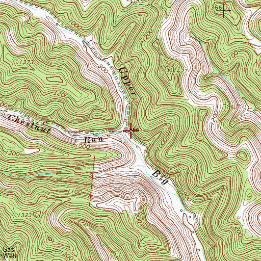 Topographic Map of Chestnut Run, WV