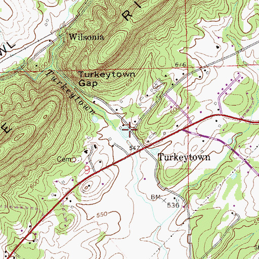 Topographic Map of Turkeytown, AL