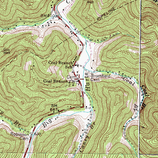 Topographic Map of Coal Branch Church, WV