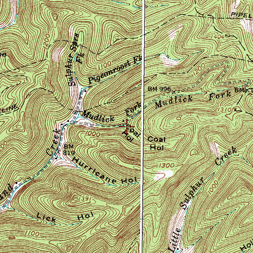 Topographic Map of Coal Hollow, WV