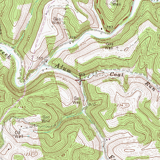 Topographic Map of Coal Run, WV