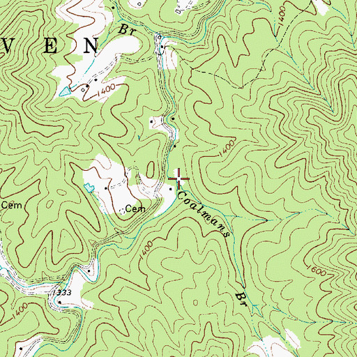 Topographic Map of Coalmans Branch, WV