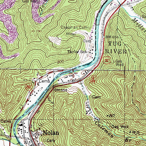 Topographic Map of Coleman Branch, WV