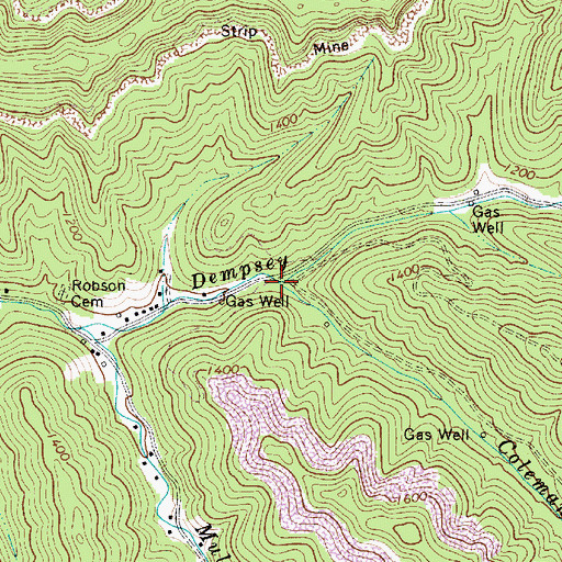 Topographic Map of Coleman Branch, WV