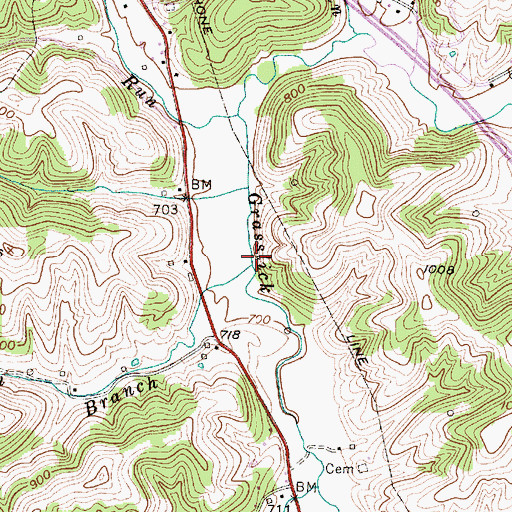 Topographic Map of Coleman Branch, WV