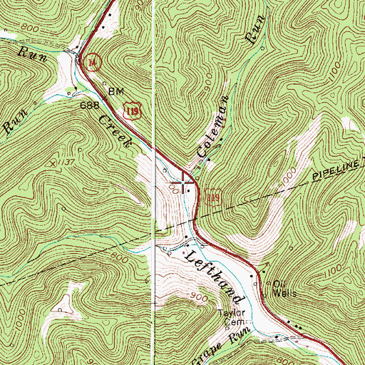 Topographic Map of Coleman Run, WV