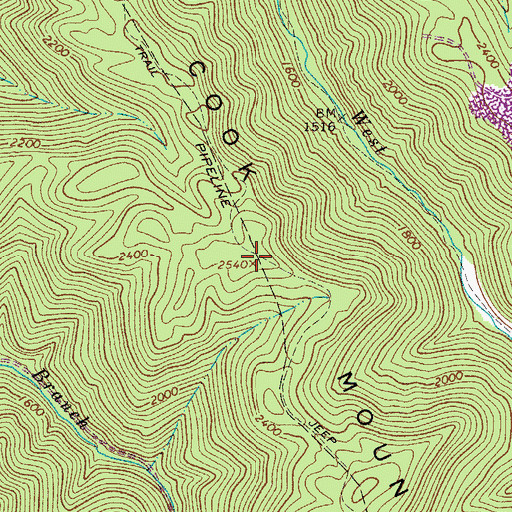Topographic Map of Cook Mountain, WV