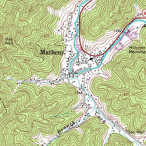 Topographic Map of Coon Branch, WV
