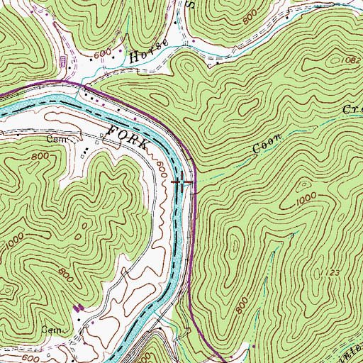 Topographic Map of Coon Creek, WV
