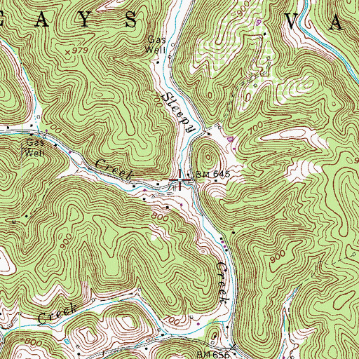 Topographic Map of Coon Creek, WV