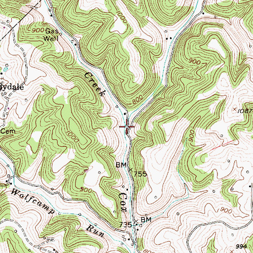 Topographic Map of Coon Creek, WV
