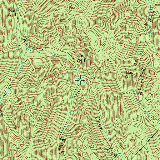 Topographic Map of Coon Den Run, WV