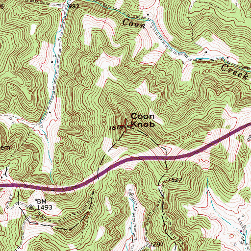 Topographic Map of Coon Knob, WV