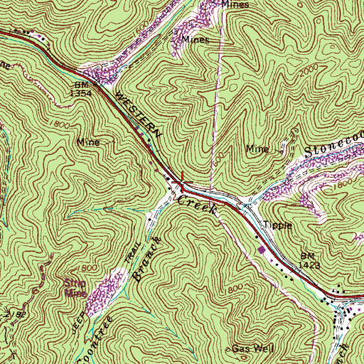 Topographic Map of Coontree Branch, WV