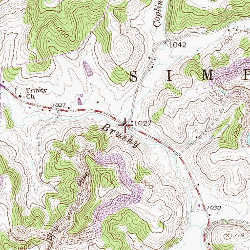 Topographic Map of Coplin Run, WV