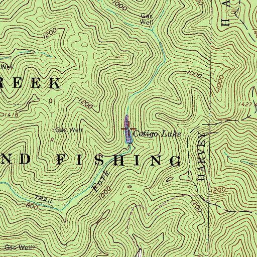 Topographic Map of Cotigo Lake, WV