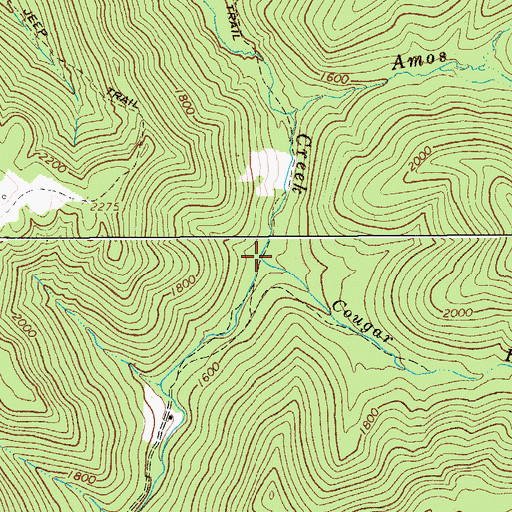 Topographic Map of Cougar Fork, WV