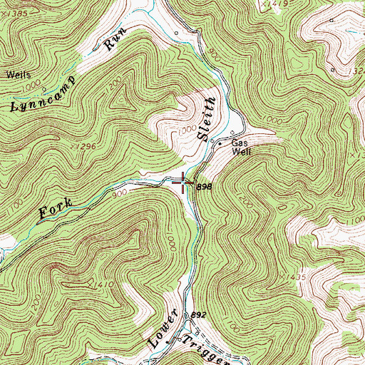 Topographic Map of Cowskin Fork, WV