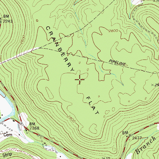 Topographic Map of Cranberry Flat, WV