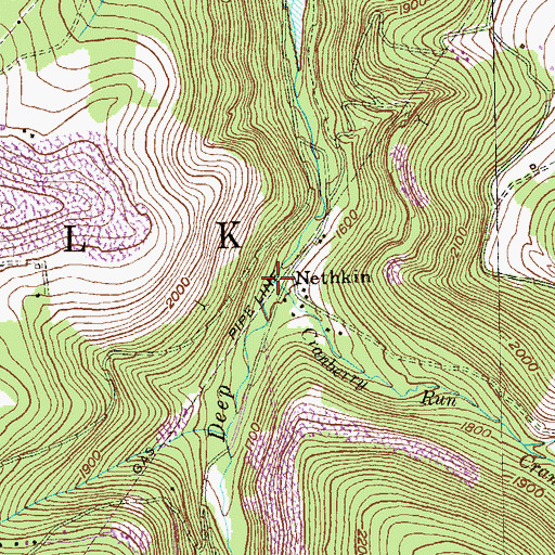 Topographic Map of Cranberry Run, WV