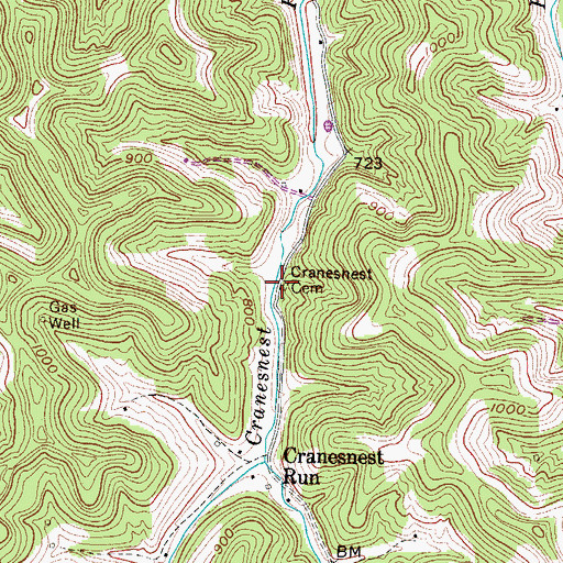 Topographic Map of Cranesnest Cemetery, WV