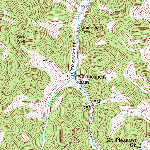 Topographic Map of Cranesnest Run, WV