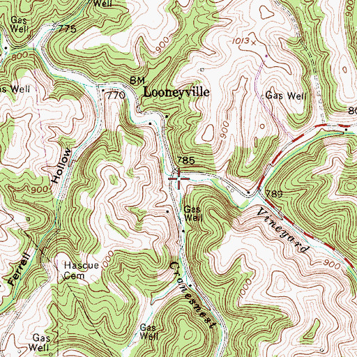 Topographic Map of Cranesnest Run, WV