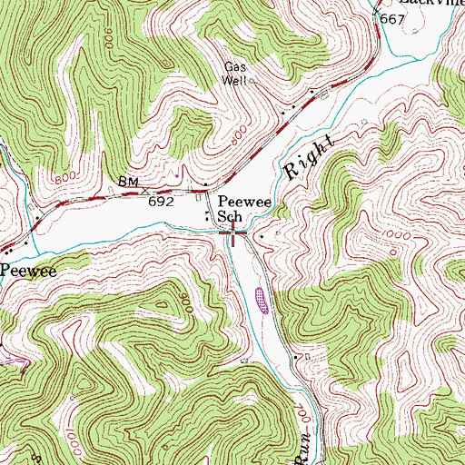 Topographic Map of Cranesnest Run, WV