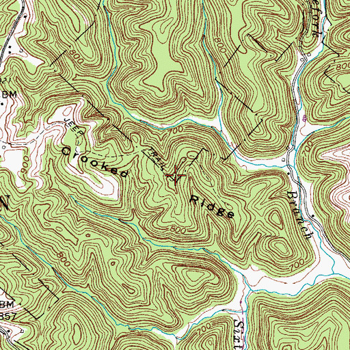 Topographic Map of Crooked Ridge, WV