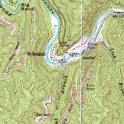Topographic Map of Cub Branch, WV