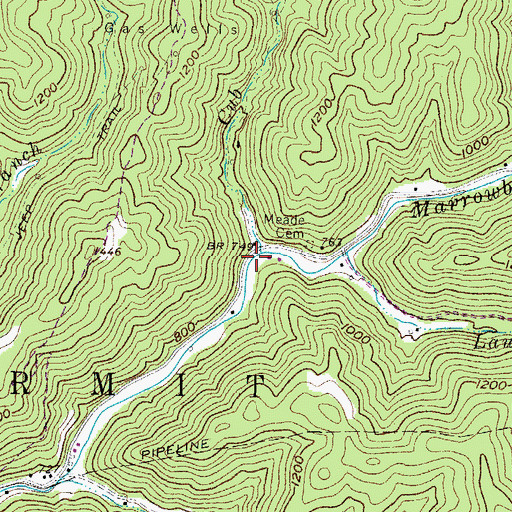 Topographic Map of Cub Branch, WV