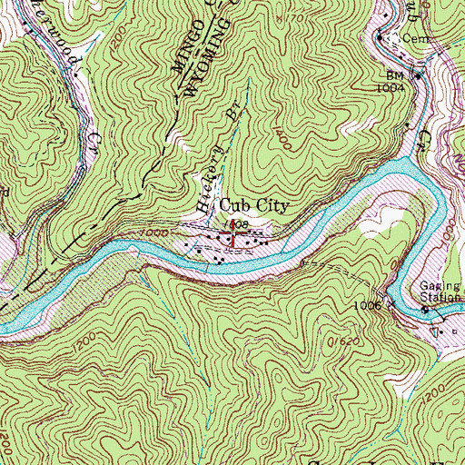Topographic Map of Cub City, WV