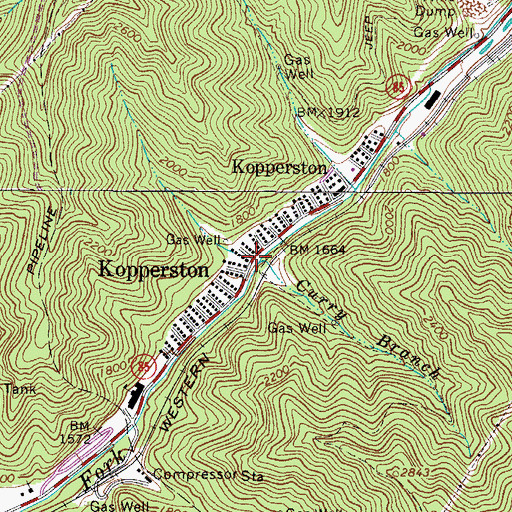 Topographic Map of Curry Branch, WV